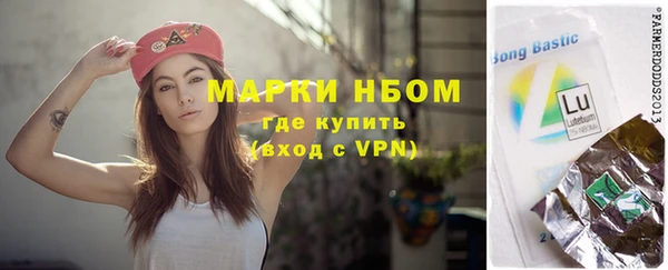 сатива Богородск