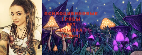 ешки Белоозёрский