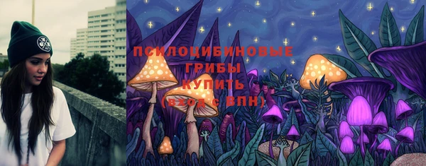 тгк Белокуриха
