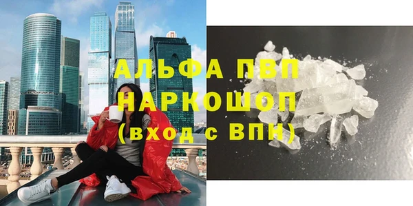 сатива Богородск