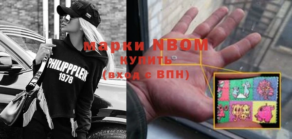 сатива Богородск