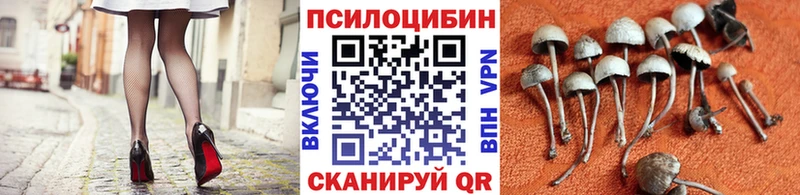 что такое Мезень Галлюциногенные грибы мухоморы
